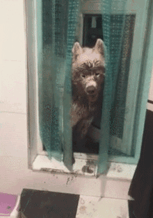 搞笑GIF：我好像发现了我们班富二代的秘密